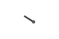 SCREW ITXSCFM INTERNAL TORX SO