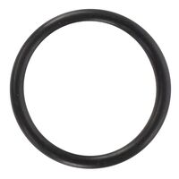 O-RING