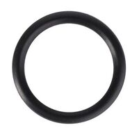 O-RING