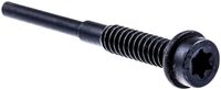 SCREW ITXSCFM LOOP MT5X17.5/48