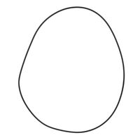 O-RING