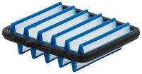 AIR FILTER PA 25/19