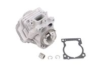 CYLINDER KIT D55 H592 SPARE PA