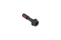 SCREW IHSCFMO M5X20 10.9 ZN/F