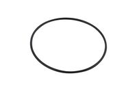 O-RING 0700012100