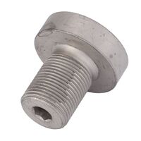 EINSTELLSCHRAUBE K80(SCHARMUELLER)
