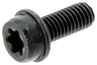 SCREW ITXSCFM INTERNAL TORX SO