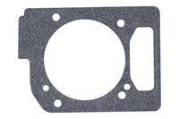 GASKET CYLINDER BASE!