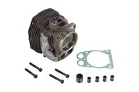 CYLINDER ASSY W PISTON SPARE P