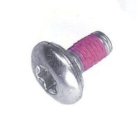 SCREW SCREW
