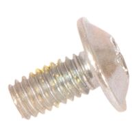 SCREW INTERNAL TORX M 4 X 8 8.