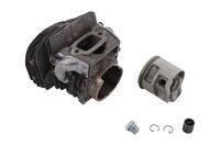 CYLINDER ASSY WITH PISTON D46
