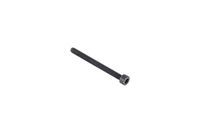 BOLT INTERNAL TORX SOCKET HEAD
