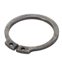 SICHERUNGSRING