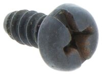 SCREW CCRPANT PW4.2X9.5 CH TB