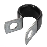 P-CLIP