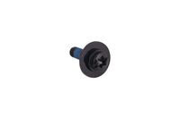 SCREW CCRPANT COMBI TORX SOCKE