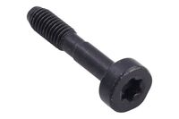 SCREW ITXSCM M5X25 T27 10.9 Z