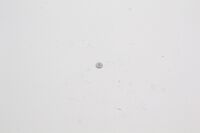 Drossel 8,0/1,50x1,5 mm