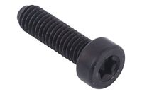 SCREW ITXSCM INTERNAL TORX SOC