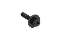 BOLT INTERNAL TORX SOCKET HEAD