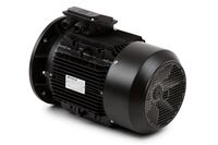 MOTOR 11KW 4P 230/400V IEC160!