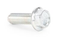 SCREW EHHFM EN 1665 M 10 X 30